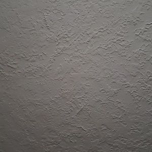 Meet your Posher, Elvis